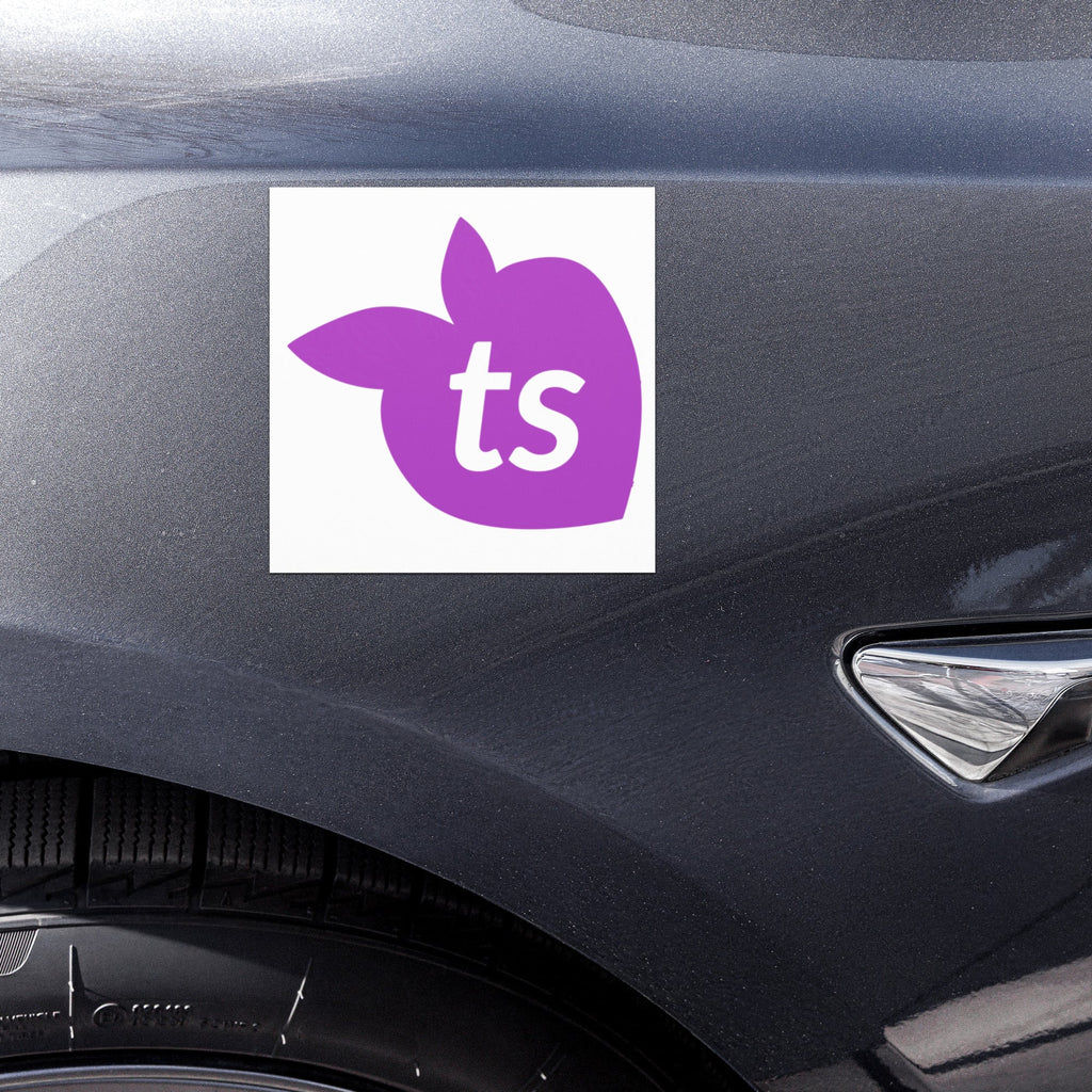tsgabrielle® • Automagnete • Weiß • 2 Größen