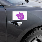 tsgabrielle® • Automagnete • Weiß • 2 Größen