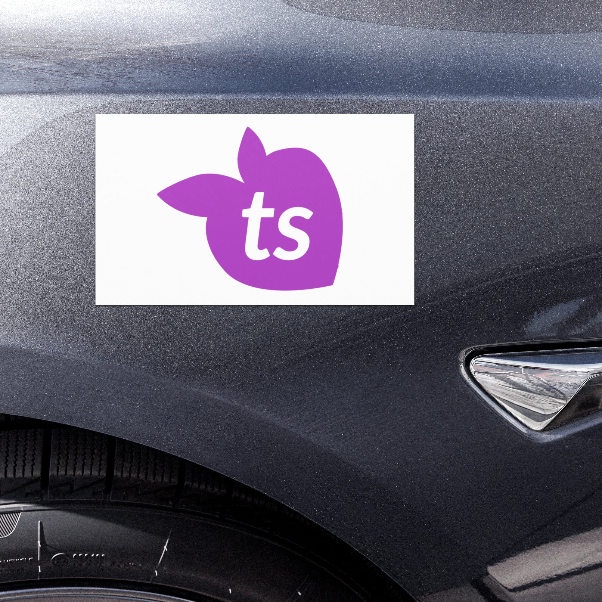 tsgabrielle® • Automagnete • Weiß • 2 Größen