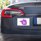 tsgabrielle® • Automagnete • Weiß • 2 Größen
