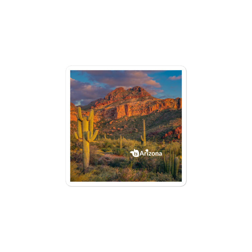 tsgabrielle® • Arizona 🌵 - Tucson Mountain Range • Sticker Bubble-Frees • 3 Sizes • 3″×3″ Vinyl Removable