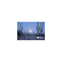 tsgabrielle® • Arizona 🌵 - Saguaro National Park • Sticker Bubble-Free • 3 Sizes •