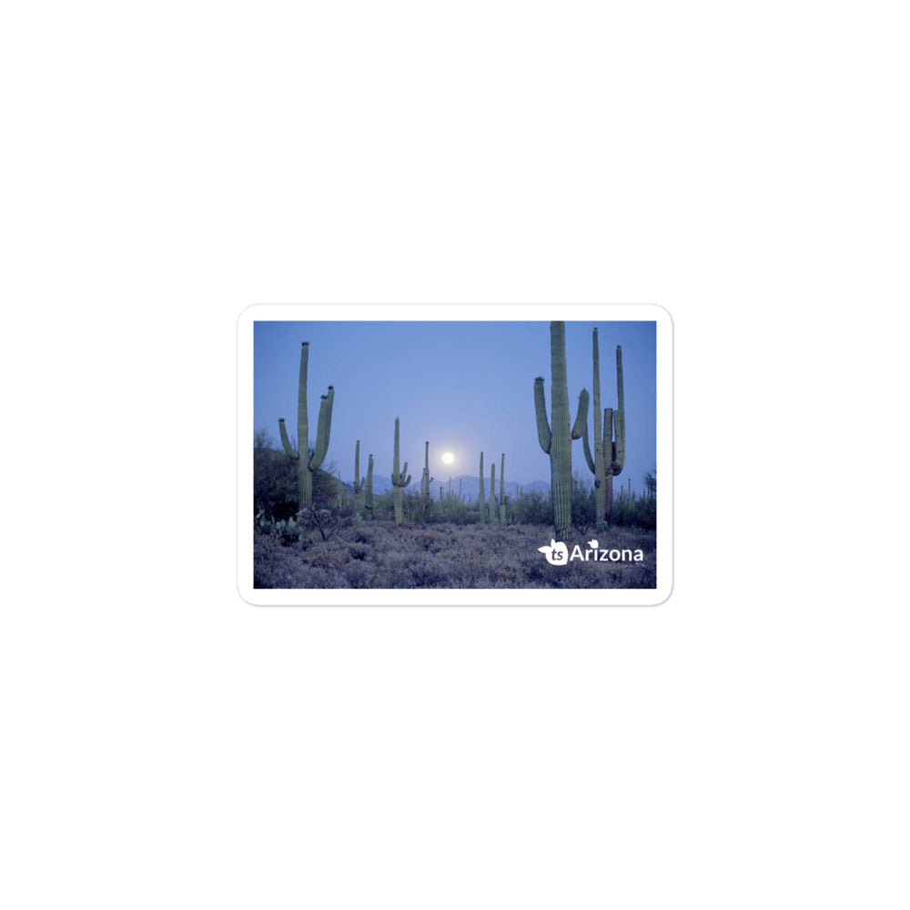 tsgabrielle® • Arizona - Saguaro Nationalpark • Aufkleber blasenfrei • 3 Größen
