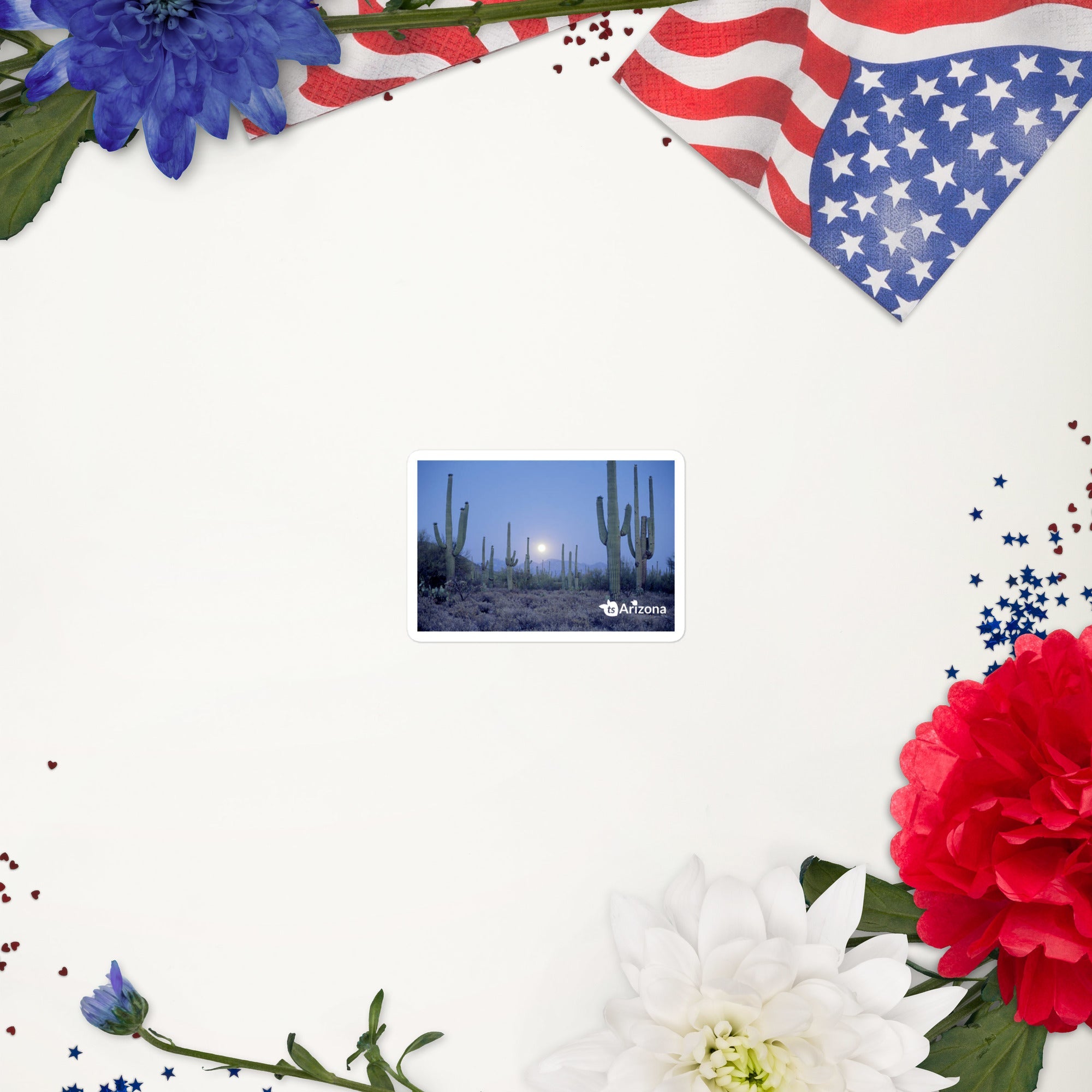 tsgabrielle® • Arizona 🌵 - Saguaro National Park • Sticker Bubble-Free • 3 Sizes •
