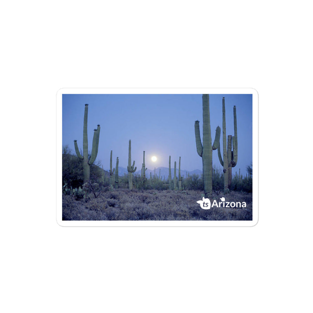 tsgabrielle® • Arizona - Saguaro Nationalpark • Aufkleber blasenfrei • 3 Größen