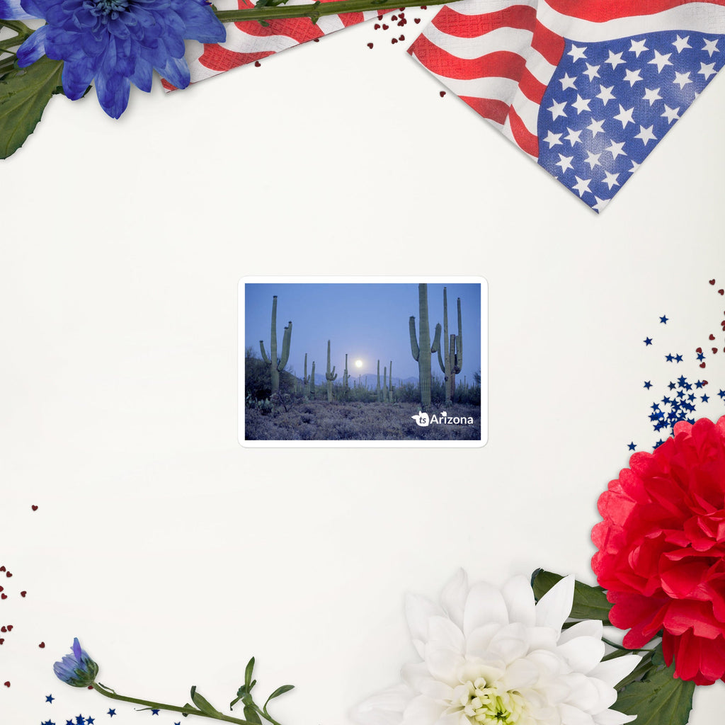tsgabrielle® • Arizona - Saguaro Nationalpark • Aufkleber blasenfrei • 3 Größen