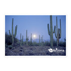 tsgabrielle® • Arizona - Saguaro Nationalpark • Aufkleber blasenfrei • 3 Größen