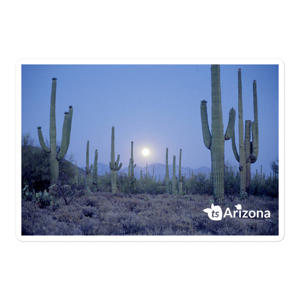 tsgabrielle® • Arizona - Saguaro Nationalpark • Aufkleber blasenfrei • 3 Größen