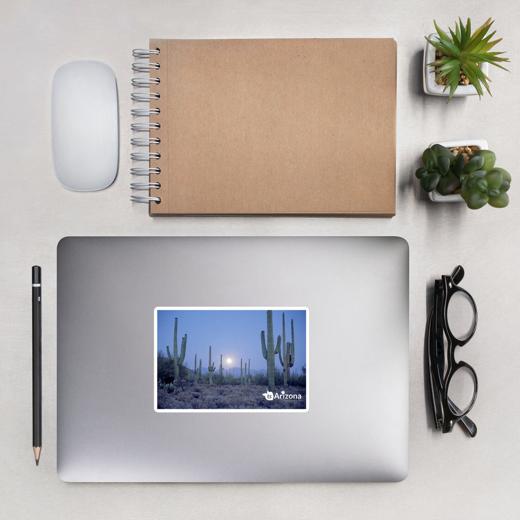 tsgabrielle® • Arizona - Saguaro Nationalpark • Aufkleber blasenfrei • 3 Größen
