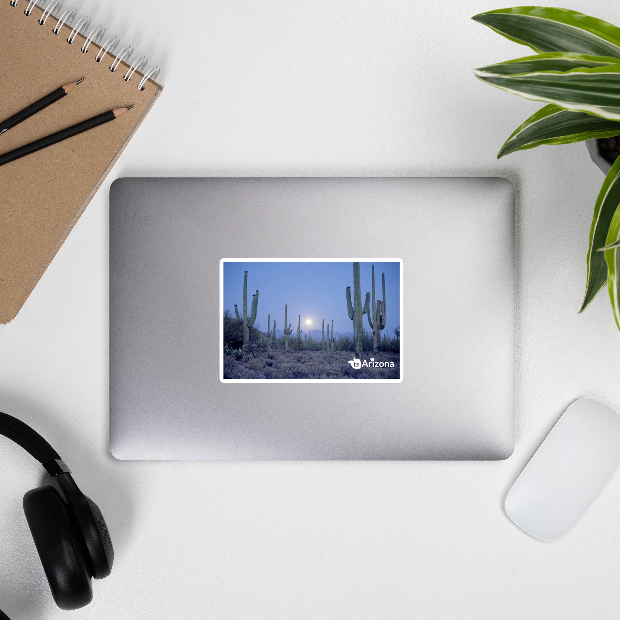 tsgabrielle® • Arizona - Saguaro Nationalpark • Aufkleber blasenfrei • 3 Größen