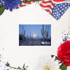 tsgabrielle® • Arizona - Saguaro Nationalpark • Aufkleber blasenfrei • 3 Größen