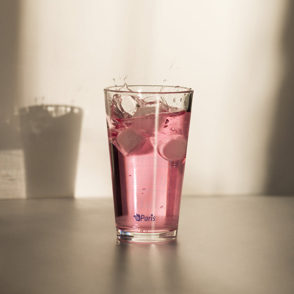 tsgabrielle® • Paris - Notre-Dame Cathedral • Shaker Pint Glass • 473 ml
